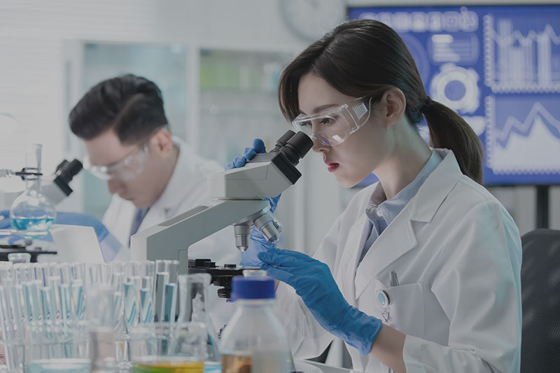 lab