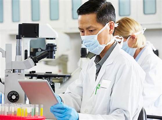 医疗器械临床前研究（动物实验）服务